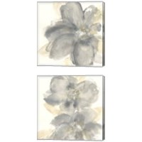 Framed Floral Gray 2 Piece Canvas Print Set