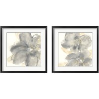 Framed 'Floral Gray 2 Piece Framed Art Print Set' border=