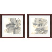 Framed Floral Gray 2 Piece Framed Art Print Set