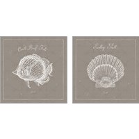 Framed 'Underwater Life Greige 2 Piece Art Print Set' border=