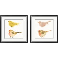 Framed 'Watercolor Birds 2 Piece Framed Art Print Set' border=