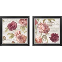 Framed 'French Roses 2 Piece Framed Art Print Set' border=