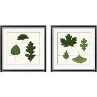 Framed 'Leaf Chart 2 Piece Framed Art Print Set' border=