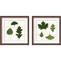 Framed 'Leaf Chart 2 Piece Framed Art Print Set' border=