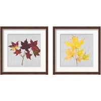 Framed 'Autumn Leaves 2 Piece Framed Art Print Set' border=