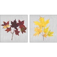 Framed 'Autumn Leaves 2 Piece Art Print Set' border=