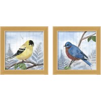 Framed 'Eastern Songbird 2 Piece Framed Art Print Set' border=