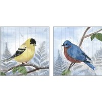 Framed 'Eastern Songbird 2 Piece Art Print Set' border=