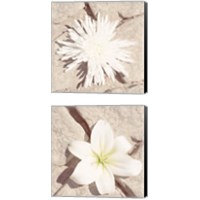 Framed 'Stone Blossom 2 Piece Canvas Print Set' border=
