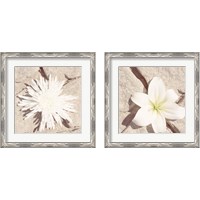Framed 'Stone Blossom 2 Piece Framed Art Print Set' border=