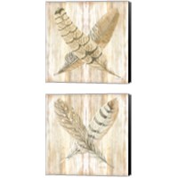 Framed Feathers Crossed 2 Piece Canvas Print Set