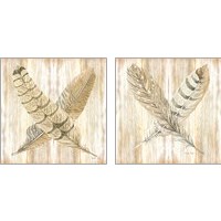 Framed Feathers Crossed 2 Piece Art Print Set