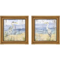 Framed 'Birds of the Coast Rustic 2 Piece Framed Art Print Set' border=
