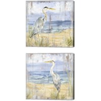 Framed 'Birds of the Coast Rustic 2 Piece Canvas Print Set' border=