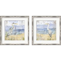 Framed 'Birds of the Coast Rustic 2 Piece Framed Art Print Set' border=