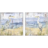 Framed 'Birds of the Coast Rustic 2 Piece Art Print Set' border=