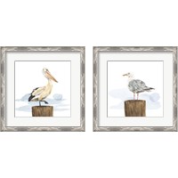 Framed 'Birds of the Coast 2 Piece Framed Art Print Set' border=