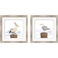 Framed 'Birds of the Coast 2 Piece Framed Art Print Set' border=