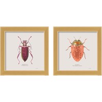 Framed 'Adorning Coleoptera 2 Piece Framed Art Print Set' border=