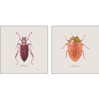 Framed 'Adorning Coleoptera 2 Piece Art Print Set' border=