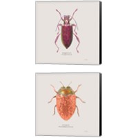 Framed 'Adorning Coleoptera 2 Piece Canvas Print Set' border=