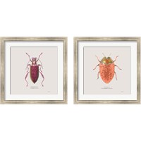 Framed 'Adorning Coleoptera 2 Piece Framed Art Print Set' border=