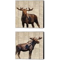 Framed 'Country Moose 2 Piece Canvas Print Set' border=
