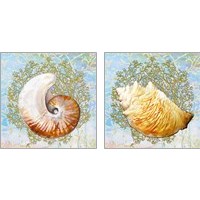 Framed 'Shell Medley 2 Piece Art Print Set' border=