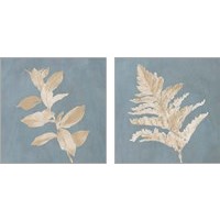 Framed Tan Leaf on Blue Square 2 Piece Art Print Set