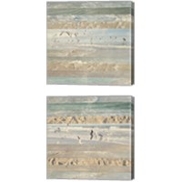 Framed 'Flying Beach Birds 2 Piece Canvas Print Set' border=