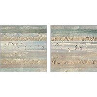 Framed 'Flying Beach Birds 2 Piece Art Print Set' border=