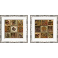 Framed 'Leaf Square 2 Piece Framed Art Print Set' border=