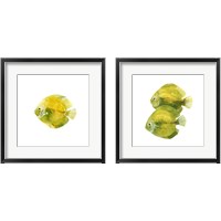 Framed 'Discus Fish 2 Piece Framed Art Print Set' border=