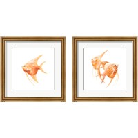 Framed 'Discus Fish 2 Piece Framed Art Print Set' border=