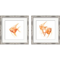 Framed 'Discus Fish 2 Piece Framed Art Print Set' border=