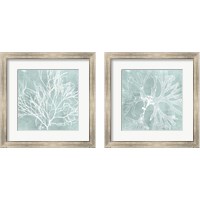 Framed 'Seaweed on Aqua 2 Piece Framed Art Print Set' border=