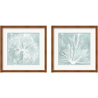 Framed 'Seaweed on Aqua 2 Piece Framed Art Print Set' border=