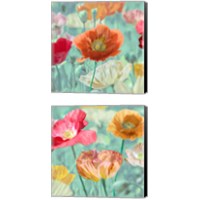 Framed Poppies in Bloom  2 Piece Canvas Print Set