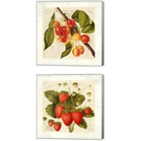 Framed 'Cerises 2 Piece Canvas Print Set' border=