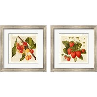 Framed 'Cerises 2 Piece Framed Art Print Set' border=