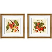 Framed Cerises 2 Piece Framed Art Print Set