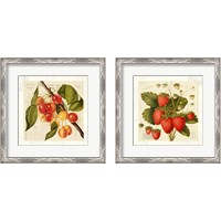 Framed Cerises 2 Piece Framed Art Print Set