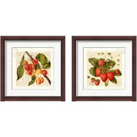 Framed 'Cerises 2 Piece Framed Art Print Set' border=