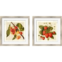 Framed 'Cerises 2 Piece Framed Art Print Set' border=