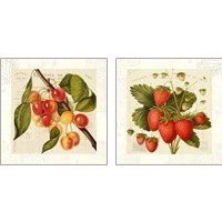 Framed Cerises 2 Piece Art Print Set