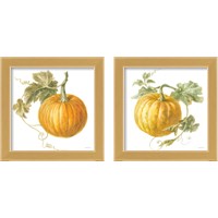 Framed 'Floursack Autumn on White 2 Piece Framed Art Print Set' border=