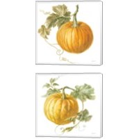 Framed 'Floursack Autumn on White 2 Piece Canvas Print Set' border=