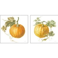 Framed 'Floursack Autumn on White 2 Piece Art Print Set' border=