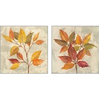 Framed 'November Leaves 2 Piece Art Print Set' border=