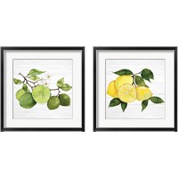 Framed 'Citrus Garden Shiplap 2 Piece Framed Art Print Set' border=